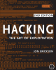 Ebook Hacking: The art of exploitation