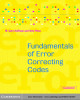 Ebook Fundamentals of errorc orrecting codes