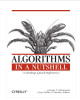 Ebook Algorithms in a Nutshell