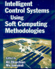 Ebook Intelligent control systems using soft computing methodologies