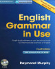 Ebook English grammar in use (4th edition): Part 2