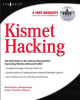 Ebook Kismet hacking