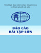 Báo cáo bài tập lớn: Quản lý thư viện
